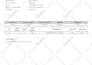 design the professional invoices