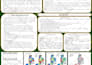 design eye catching academic poster and canva newsletter