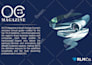 create top class flyer, brochure, magazine, media kit, etc