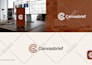 design a modern minimalist saas startup software logo