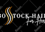 convert existing logo to vector, vector tracing, vectorize, recreate, redraw