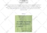 do expert SEO content and caption writing for social media