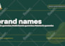 brainstorm brand names that sell