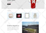 design and develop your wordpress website