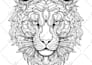 illustrate mandala art coloring book for adults and kids