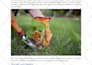 create SEO gardening, horticulture and hydroponics blogs