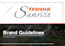 design brand style guidelines