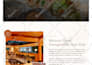 design a professional restaurant website and landing page