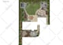 design your backyard, garden, frontyard, patio 2d and 3d