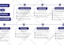 create colorful  mind or concept map within 24 hours