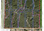 create gis map, vector map and spatial analysis