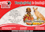 design an eye catching flyer, brochure, leaflet, or ad to boost your business