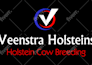 edit, modify or update your logo in high quality