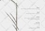design flyer, brochure, catalog, menu, invitation