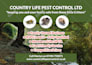 design promotional bi fold brochure