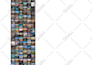 develop a business directory or listing website in wordpress