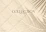design a swimwear collection based on your vision
