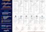 create professional canva graphic designs