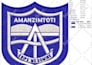 do embroidery digitizing logo design into dst file in 1 hour