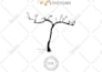do professional and creative wine label designs