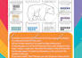 design custom worksheets KDP books activity books math worksheets kids worksheet