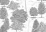 do hand drawn architectural sketches and concept drawings