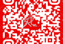 design a professional qr code with your logo