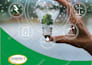 design professional case study or lite paper