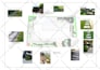 create your landscape 2d detail design