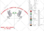 do embroidery digitizing logo design into dst file in 1 hour