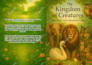do kindle book formatting and layout design print and ebooks