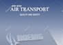 do aviation project management task