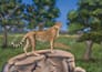 draw custom wildlife animal art
