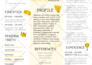 write, edit, design custom resume, cover letter template