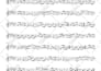make music transcriptions for any instrumentation