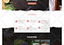 build responsive wordpress landing page design, elementor landing page