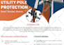 design a professional flyer or brochure