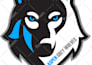 edit, modify, fix logo design or convert files, image to vector