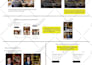 develop a fully functional wordpress theme for your website