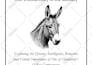do amazon KDP book formatting, paperback formatting or kindle ebook formatting