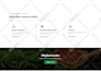 design and develop professional wordpress website for your business