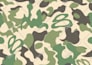 illustrate and design seamless prints, patterns or wallpaper