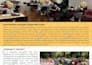 design a professional business marketing, sales flyer, and promotional leaflet