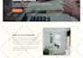 build a modern business website on wordpress or wix