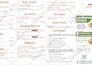 create traditional cool restaurant menu, pamphlet and minimal menu design