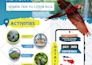 design professional flyers and print marketing collateral