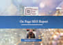 provide complete monthly SEO service for google top ranking