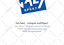 conduct a social media audit