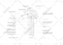 create 2d architectural plan from PDF or sketch