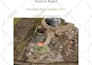 process uav drone data and create orthomosaic 3d models point cloud dsm gis